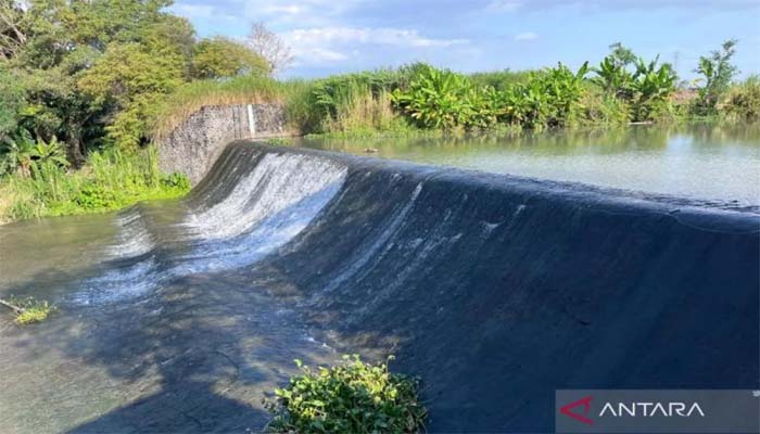 Upaya Produsen Air Minum Jaga Kemurnian Air Hulu hingga Hilir